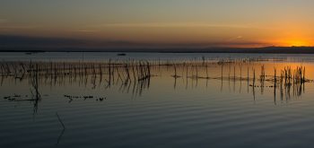 Atardecer en la Albufera de Valencia
