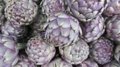 alcachofa